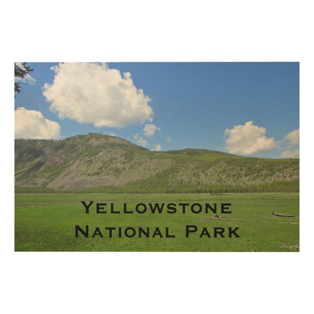 Yellowstone Lovely Landscape Photo National Park Wood Wall Art (Front)
