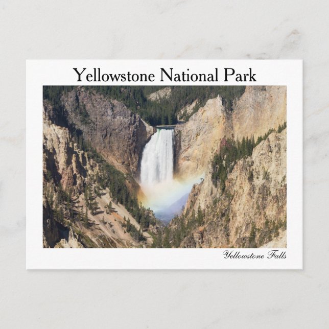 Yellowstone - Lower Yellowstone Falls postcard (Front)