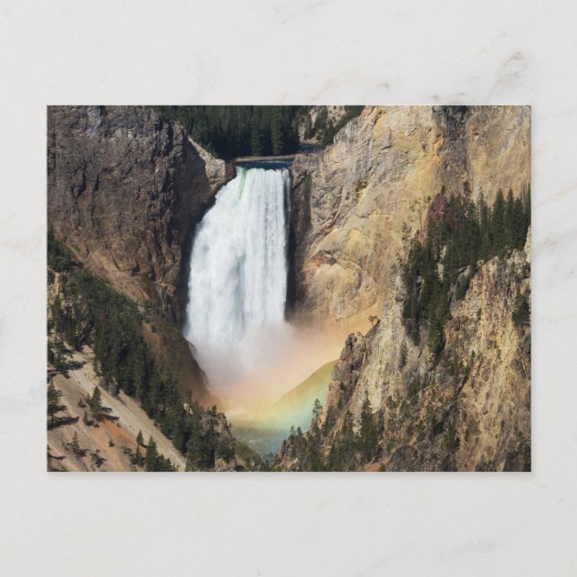 Yellowstone - Lower Yellowstone Falls postcard (Front)