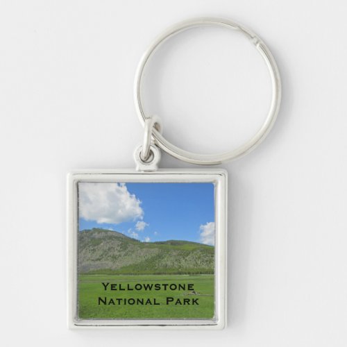 Yellowstone Lush Green Field Photo National Park Keychain