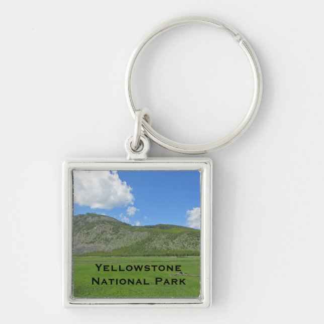 Yellowstone Lush Green Field Photo National Park Keychain (Front)