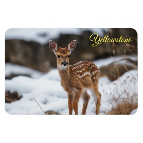 Yellowstone Magnet_Fawn Deer Magnet