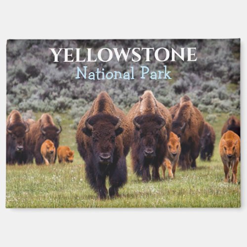Yellowstone Magnet National Park Bison Buffalo