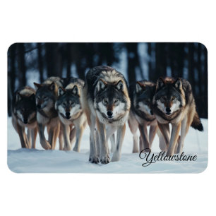 Yellowstone Magnet-Wolves Magnet