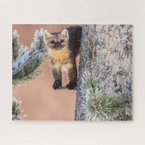 Yellowstone Marten in a Tree Jigsaw Puzzle
