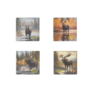 Yellowstone Moose Stone Magnet Set