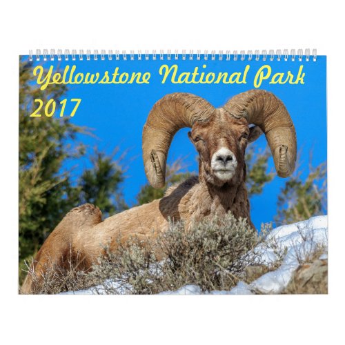 Yellowstone National Park 2017 Wall Calendar