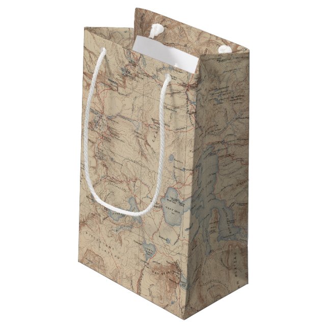 Yellowstone National Park 2 2 Small Gift Bag (Back Angled)