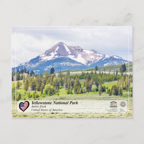 Yellowstone National Park _ Antler Peak Postcard