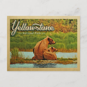 Yellowstone National Park Bears Vintage Postcard
