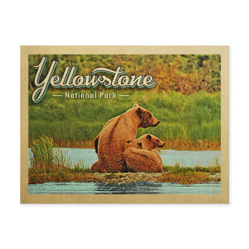 Yellowstone National Park Bears Vintage Postcard