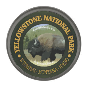 Yellowstone National Park (bison) Gunmetal Finish Lapel Pin