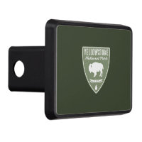 Yellowstone National Park Bison