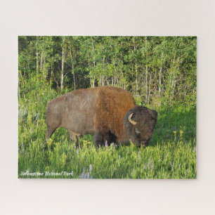 Yellowstone National Park Bison Jigsaw Puzzle