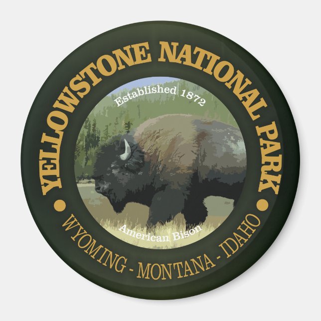 Yellowstone National Park (bison) Magnet (Front)