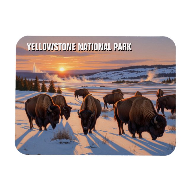 Yellowstone National Park bison Magnet (Horizontal)