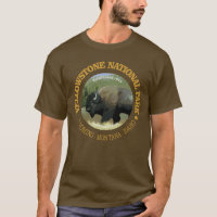 Yellowstone National Park (bison)