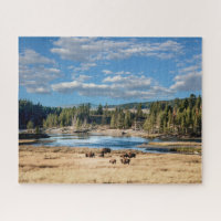 Yellowstone National Park: Buffalo Jigsaw Puzzle