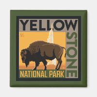 Yellowstone National Park | Buffalo