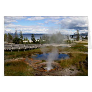 Yellowstone National Park Cards