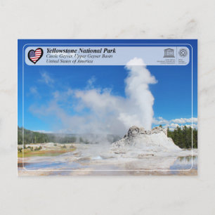 Yellowstone National Park - Castle Geyser Postcard