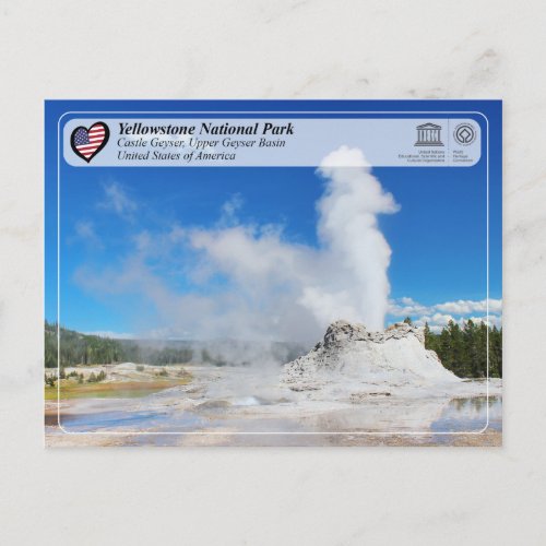 Yellowstone National Park _ Castle Geyser Postcard
