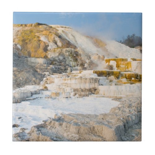 Yellowstone National Park Ceramic Tile