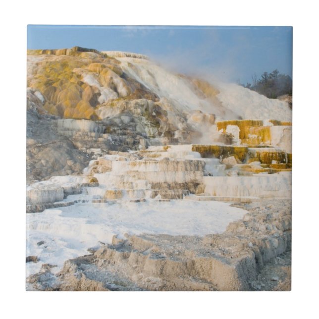 Yellowstone National Park Ceramic Tile (Front)