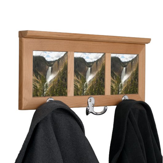Yellowstone National Park Coat Rack (In Situ)
