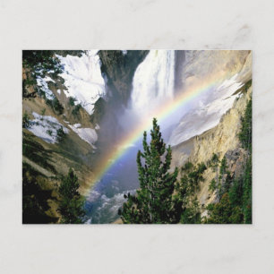 Yellowstone National Park Customizable Gifts Postcard
