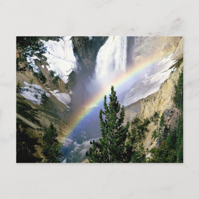 Yellowstone National Park Customizable Gifts Postcard (Front)