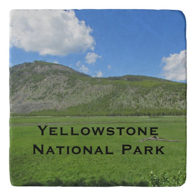 Yellowstone National Park Field Photo Landscape Trivet (Front)