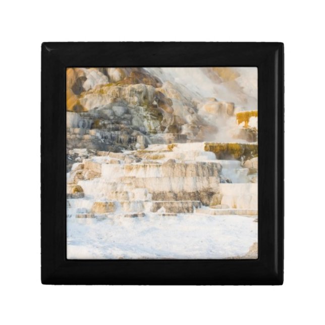 Yellowstone National Park Gift Box (Front)