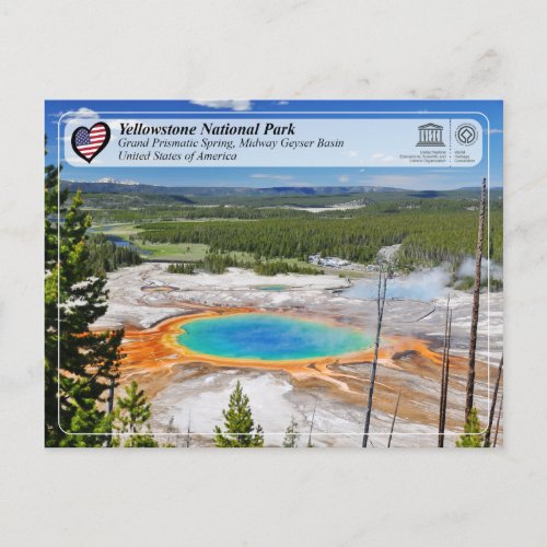 Yellowstone National Park _ Grand Prismatic Spring Postcard