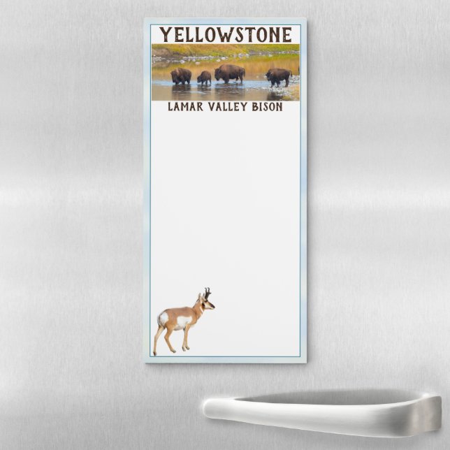 Yellowstone National Park Lamar Valley Bison Magnetic Notepad (In Situ)