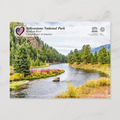 Yellowstone National Park _ Madison River Postcard