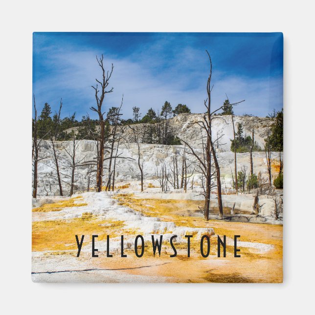 Yellowstone National Park Magnet (Front)