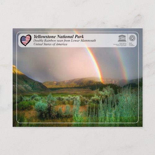 Yellowstone National Park _ Mammoth Hot Springs Postcard