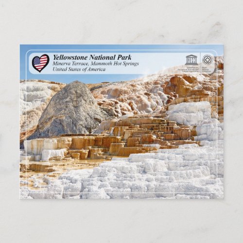 Yellowstone National Park _ Minerva Terrace Postcard