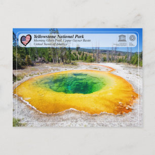 Yellowstone National Park - Morning Glory Pool Postcard