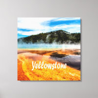 Yellowstone National Park Mountains Nature Animals
