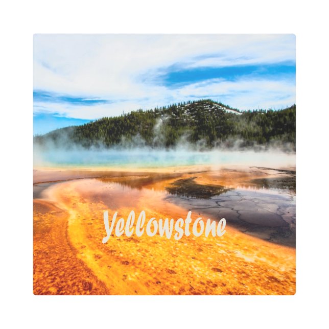Yellowstone National Park Mountains Nature Animals Metal Print (Front)