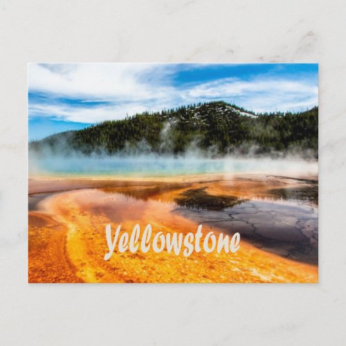 Yellowstone National Park Mountains Nature Animals Postcard
