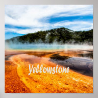 Yellowstone National Park Mountains Nature Animals