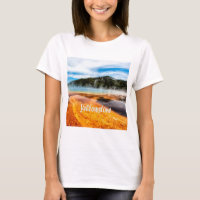 Yellowstone National Park Mountains Nature Animals