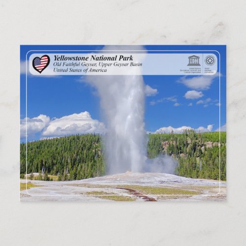 Yellowstone National Park _ Old Faithful Geyser Postcard