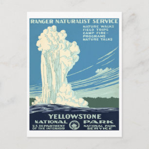 Yellowstone National Park Postcard