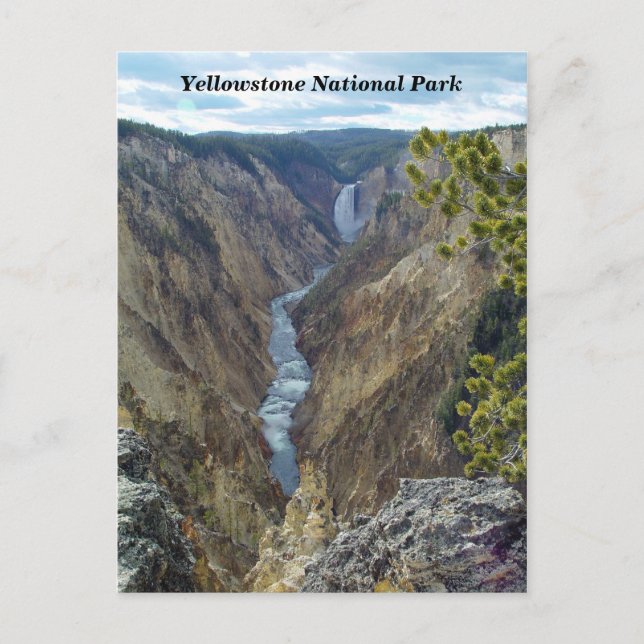 Yellowstone National Park Postcard (Front)