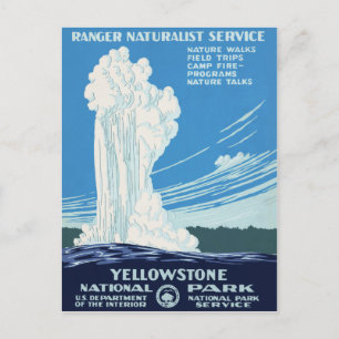 Yellowstone National Park Postcard