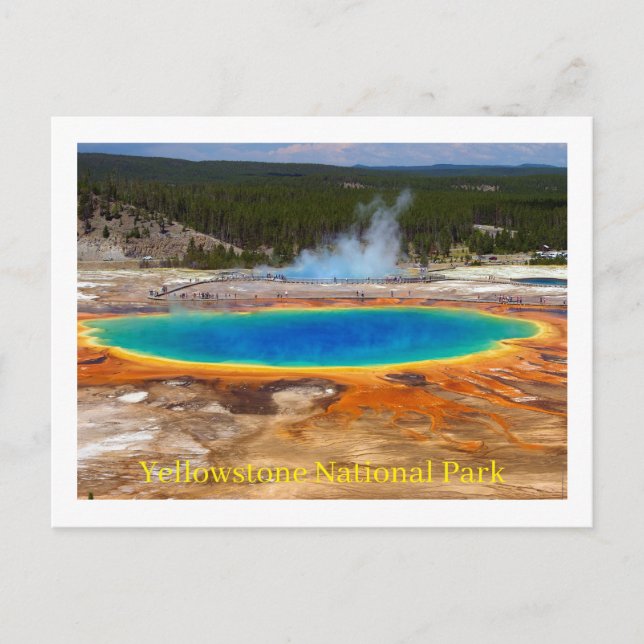 Yellowstone National Park Postcard (Front)